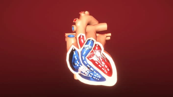 Medical Anatomy Visualization app icon
